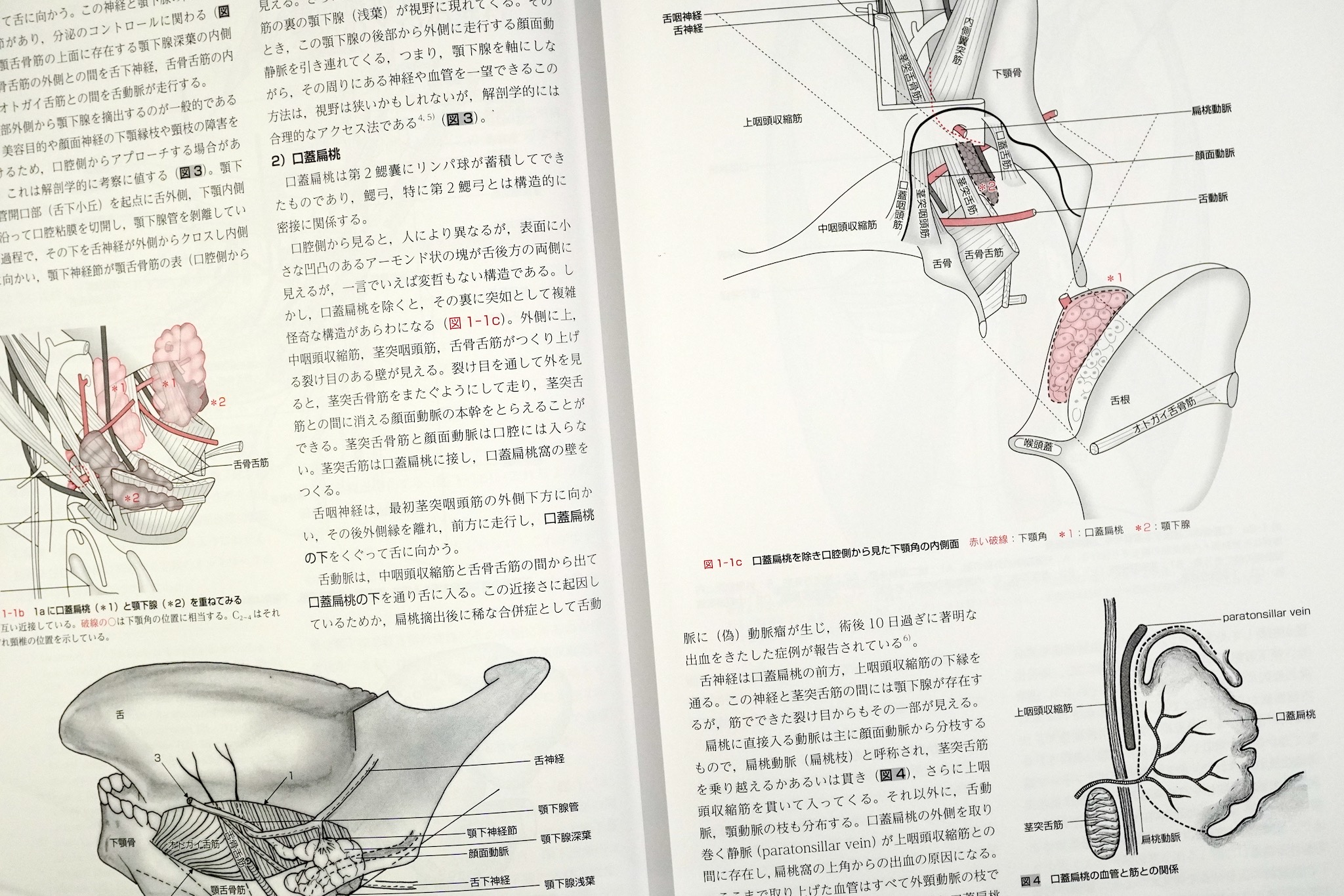 整形外科医のための手術解剖学図説 原書第3版 南江堂 5eb12 整形