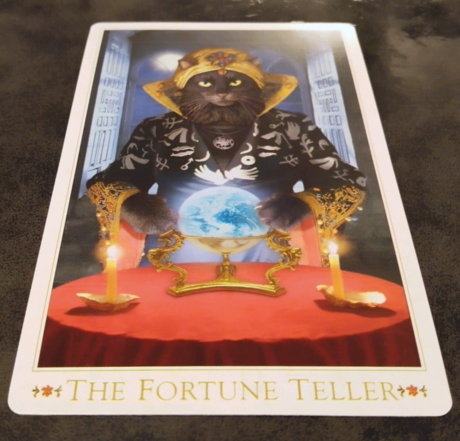 The Baroque Bohemian Cats' Tarot 3rd edition（バロック・ボヘミアン