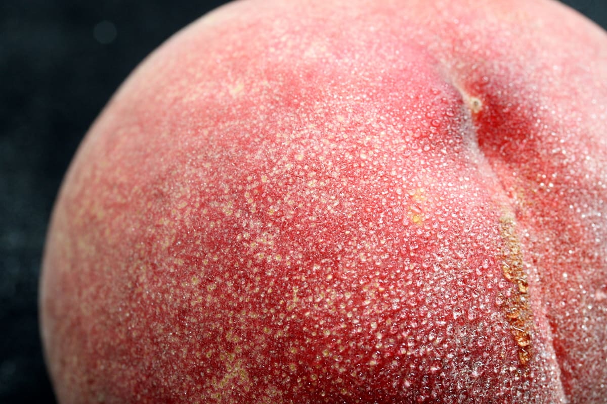 福島の桃 光センサープレミアムピーチ 特秀 約5kg（8～16個