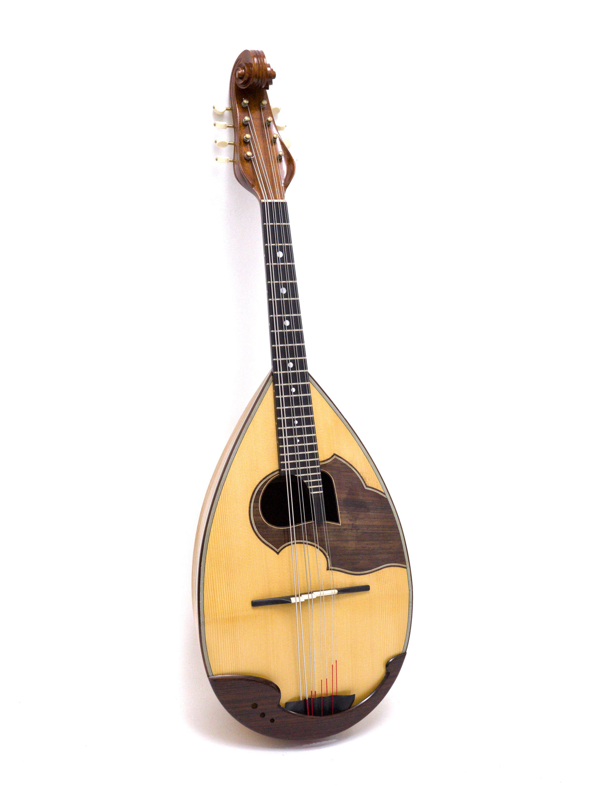 リユース】野口マンドラOD-S 2016年| イケガク