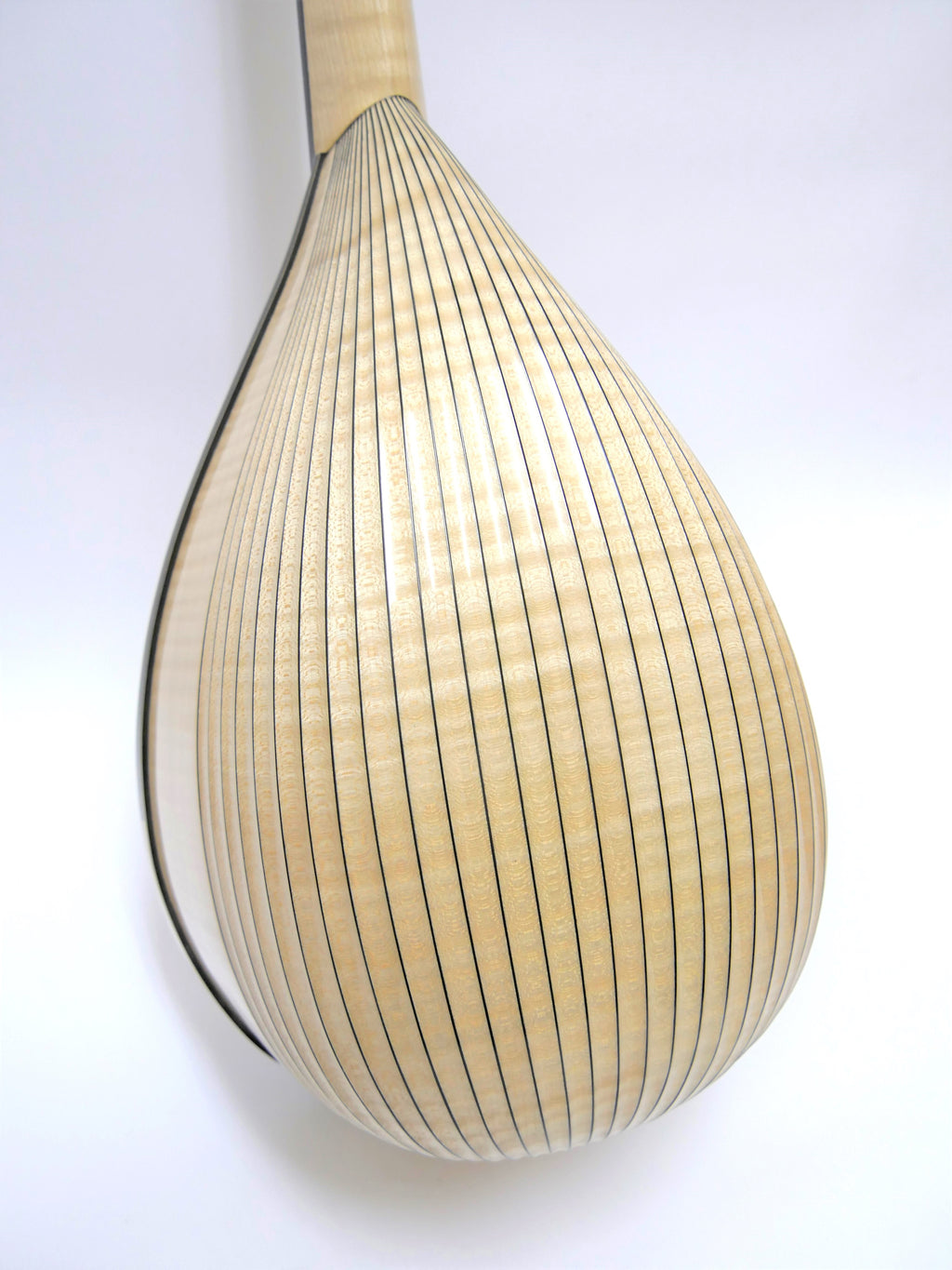 落合マンドリンS-5 | イケガク