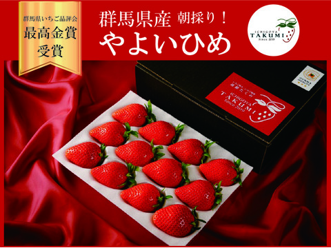 贈答用】品評会最高金賞受賞 朝採れ甘熟いちご (400g x 1箱)：群馬県産