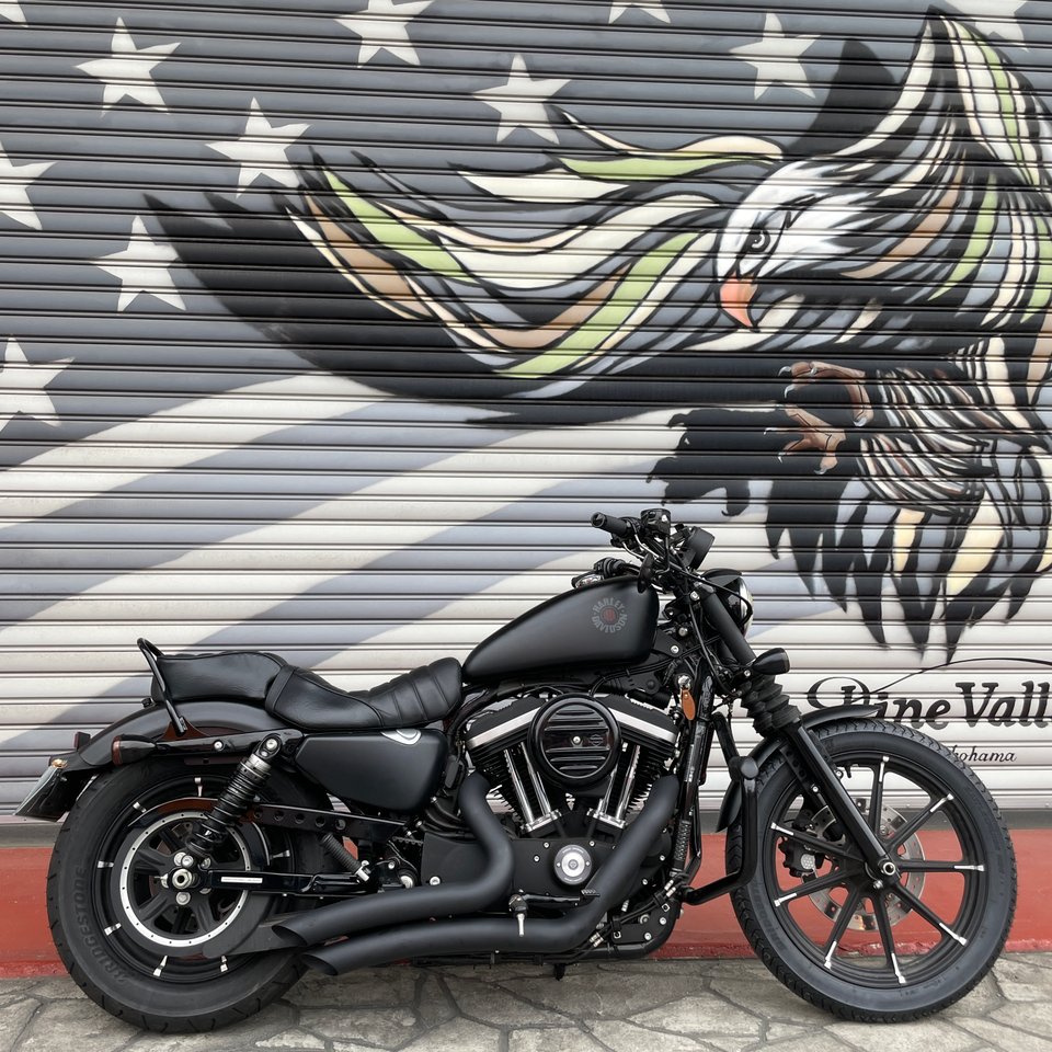 PCX高性能触媒搭載】 ビッグラディウス 2in2 フルエキゾーストマフラー