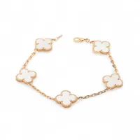 ヴァンクリーフ&アーペル ヴィンテージアルハンブラ 5P タイガーアイ