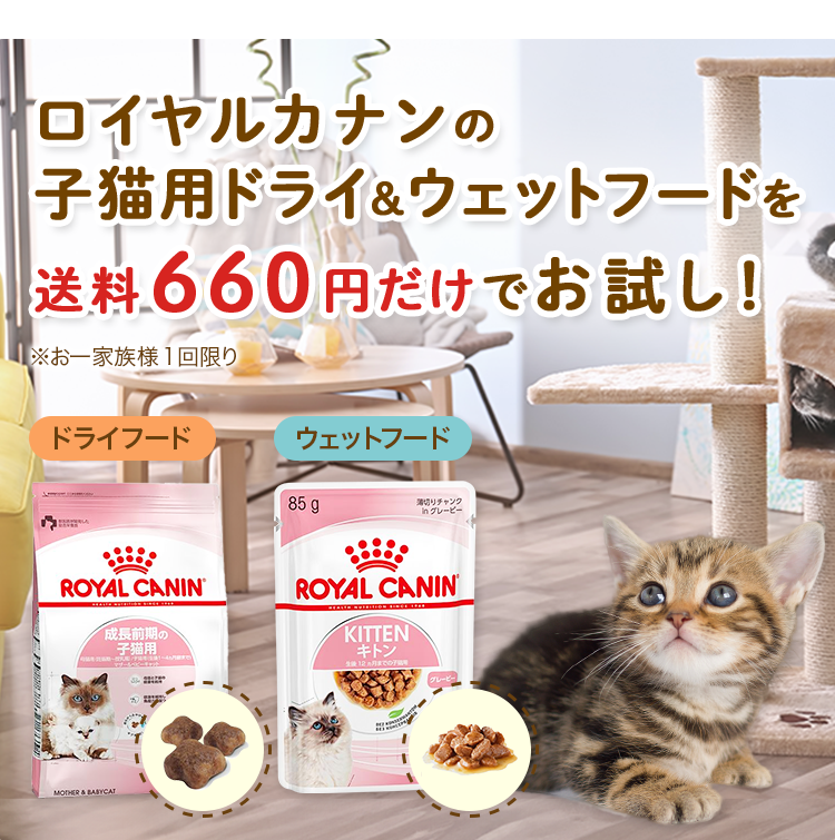 ロイヤルカナンの子猫用ドライフードを送料(660円)だけでお試し！