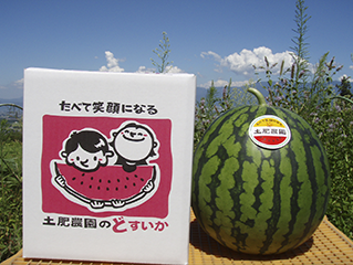 完熟すいか 4L 1個入り | 土肥農園ショップ
