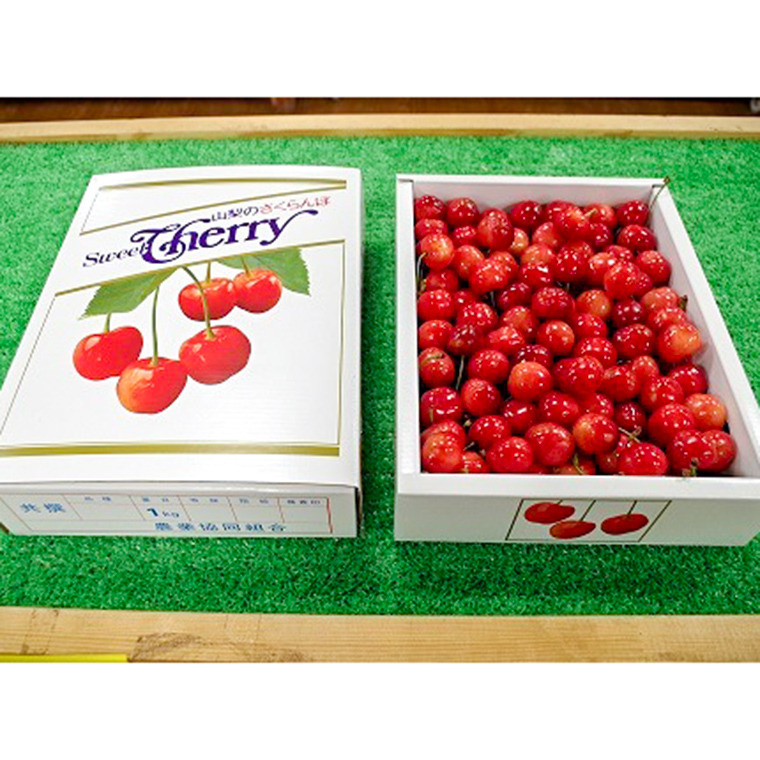 予約販売】さくらんぼ 佐藤錦 1kg【サイズ L】 （JA南アルプス市