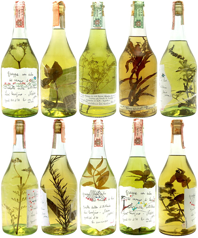 【美品】ロマーノレヴィ ルータ ミント グラッパ ハーブ入 2007 750ml 美品】ロマーノレヴィ ルータ ミント グラッパ ハーブ入 750ml 2007 美