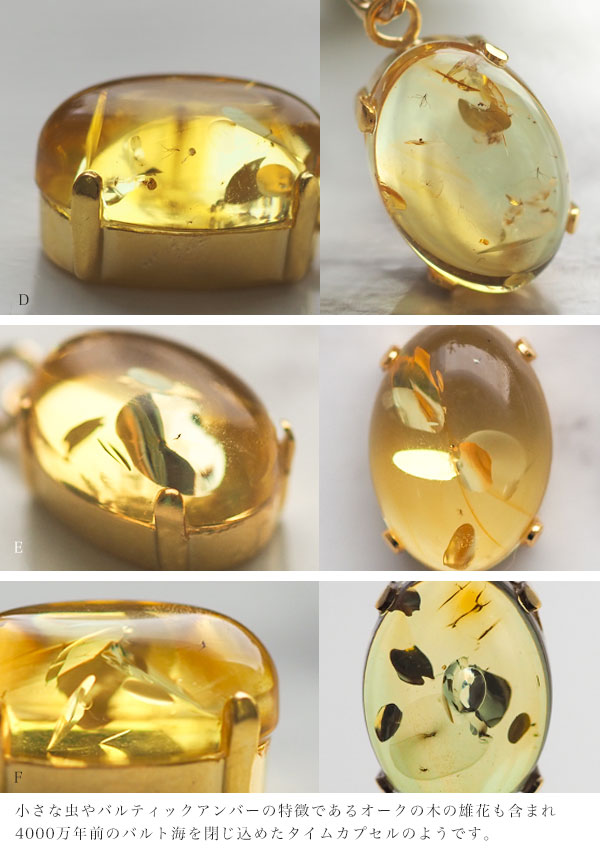 楽天市場】【バルト海の琥珀】ペンダント・ネックレス 虫入り琥珀