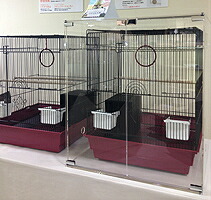 アクリル工房 | アクリルバードケージQ＆A