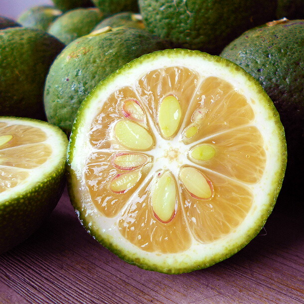 楽天市場】仏手柑 ぶしゅかん 20玉 高知産 土佐の酢みかん ご家庭用