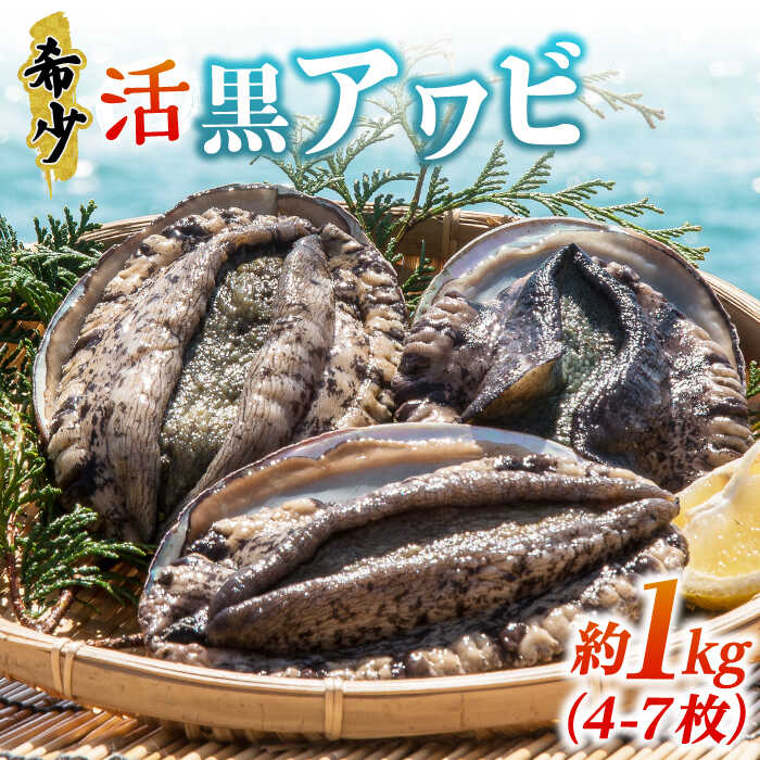 楽天市場】【ふるさと納税】 活アワビ1kg（黒アワビ）《壱岐市》【丸和