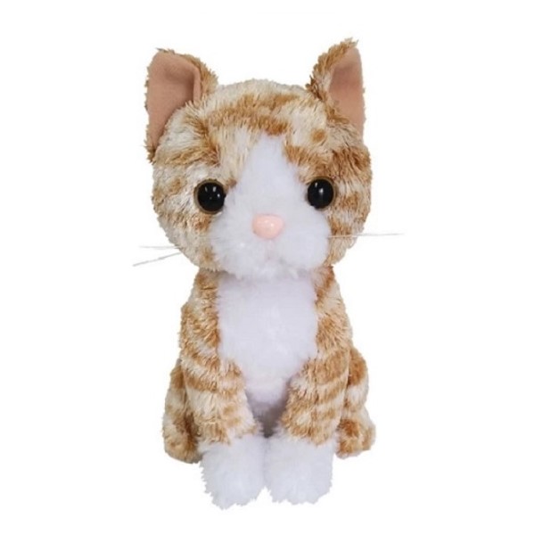 楽天市場】【クーポン配布中!】在庫あり!!【定形外送料無料】猫の