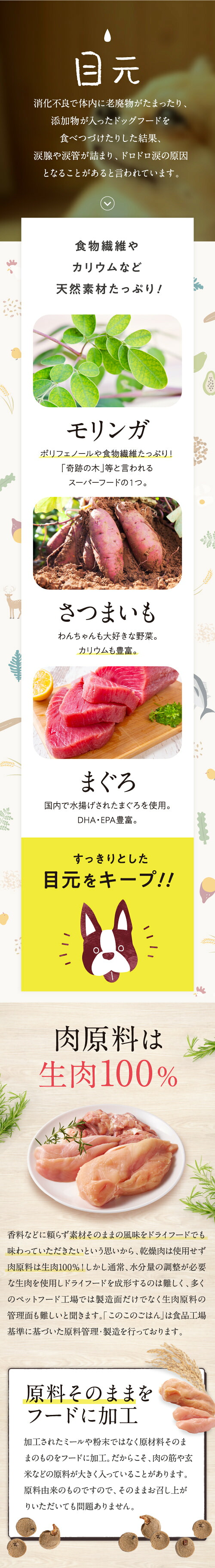 楽天市場】【 公式 】 このこのごはん ドッグフード 全犬種 全年齢