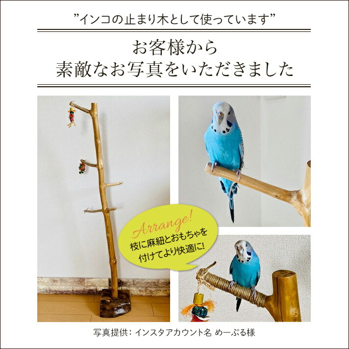 天然チークポールハンガー [160～175cmタイプ]【49094】 /アジアン雑貨