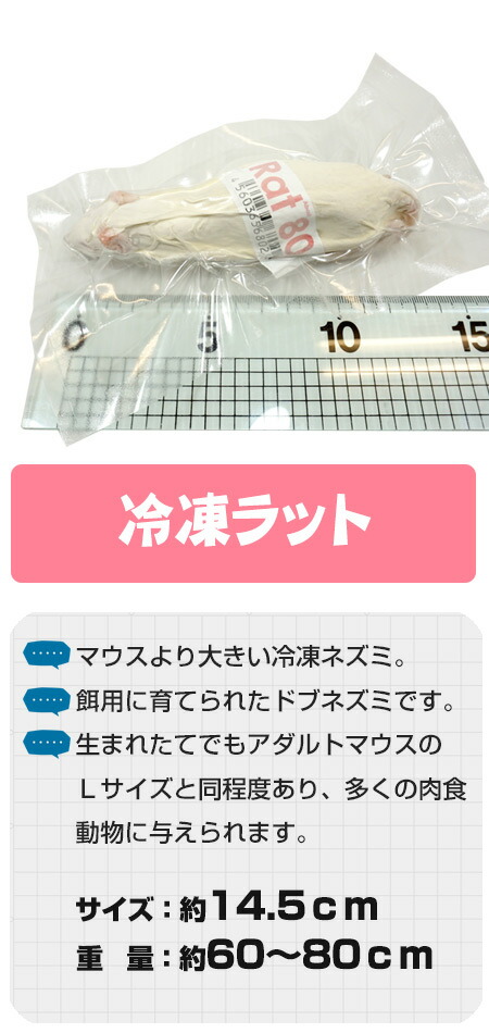 冷凍マウス（エサ） フェレットワールド WEB SHOP