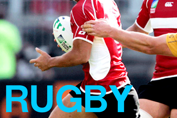 ラグビーアップウェア adidas（アディダス） メンズ ラグビー ウォームアップシャツ オール