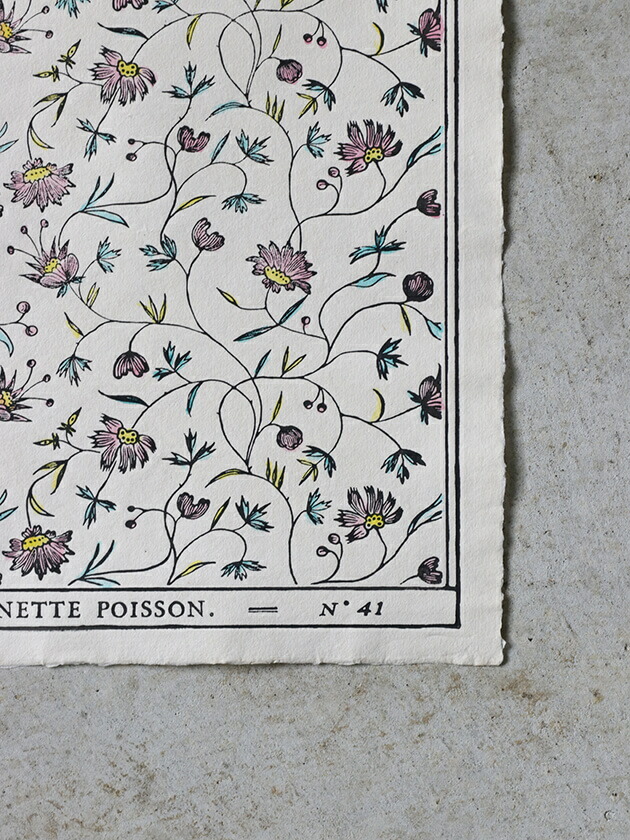 楽天市場】ドミノペーパー 41A Antoinette Poisson // アントワネット