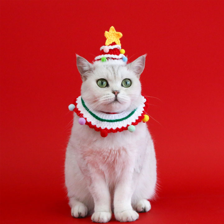楽天市場】首輪 猫用 犬用 クリスマス 可愛い 帽子 小型犬 可愛い