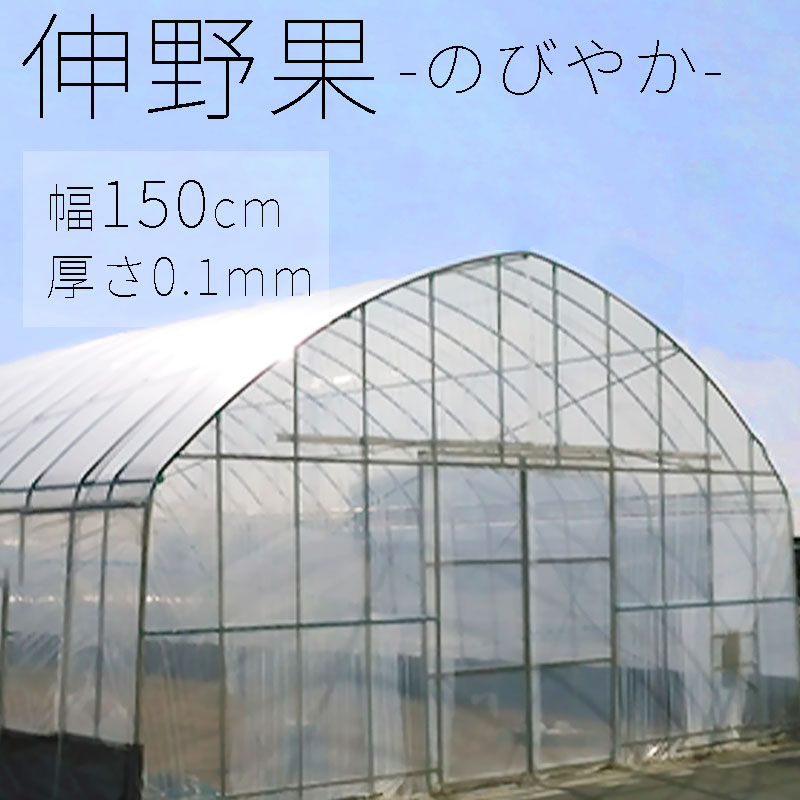 楽天市場】【2枚セット】 花野果 蒼天 幅92.5cm 選べる長さ POフィルム