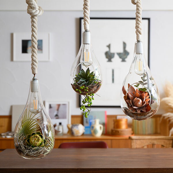 楽天市場】SWAN スワン電器 BOTANIC HANGING LIGHT with FAKEGREEN L