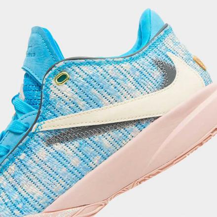 国内2月17日発売予定】 ナイキ レブロン 20 