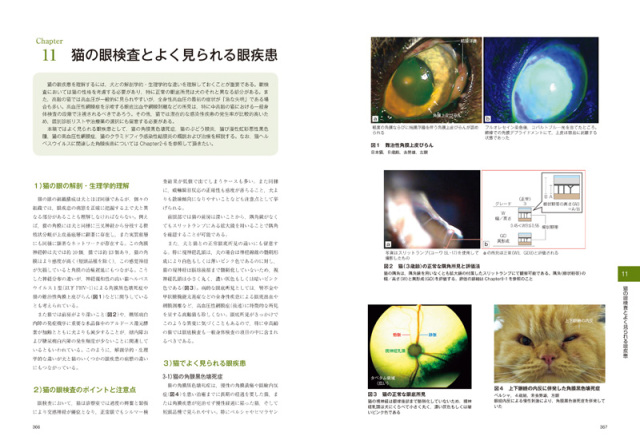 伴侶動物の眼科診療 株式会社 緑書房