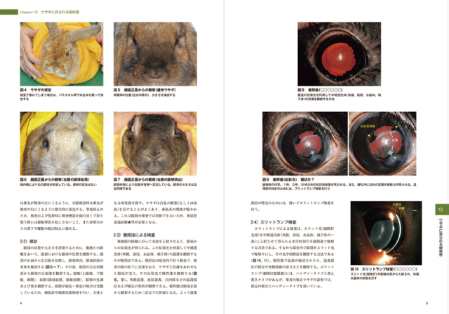 伴侶動物の眼科診療 株式会社 緑書房