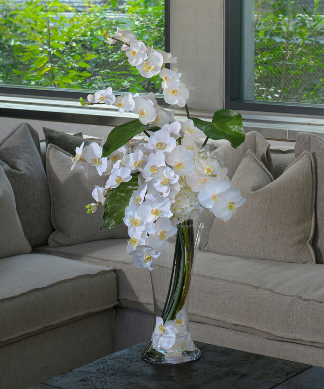 ファレノプシス3XL 胡蝶蘭 高品質 ギフト プレゼント お祝い アーティ