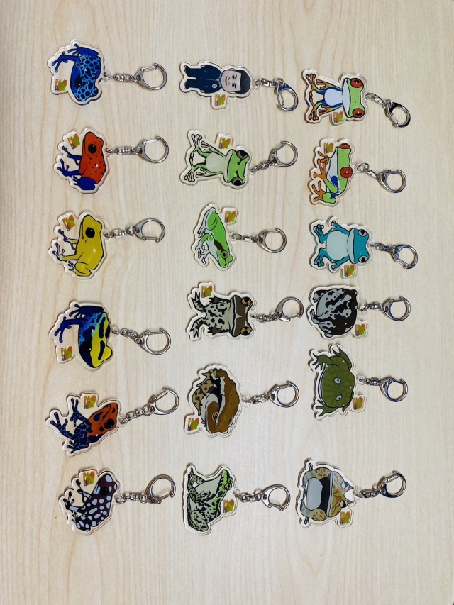 KawaZooオリジナル アクリルキーホルダー ニホンアマガエル