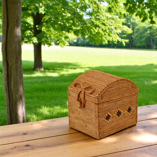 リビング収納中仕切蓋付きハーフサイズ (BOX399) Rosily(ロージリー