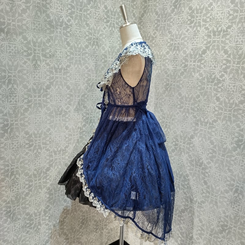 ATELIER PIERROT】【Vallée lys】ヴァレリス フィッシュテールレースジ