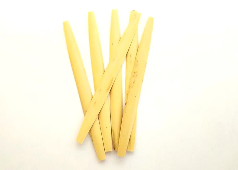 舟形ケーン（柔らかめ） | Oboe Reed Atelier Hibiki