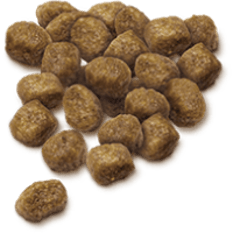 セレクトバランス パピー チキン 小粒 子犬・母犬用 1kg