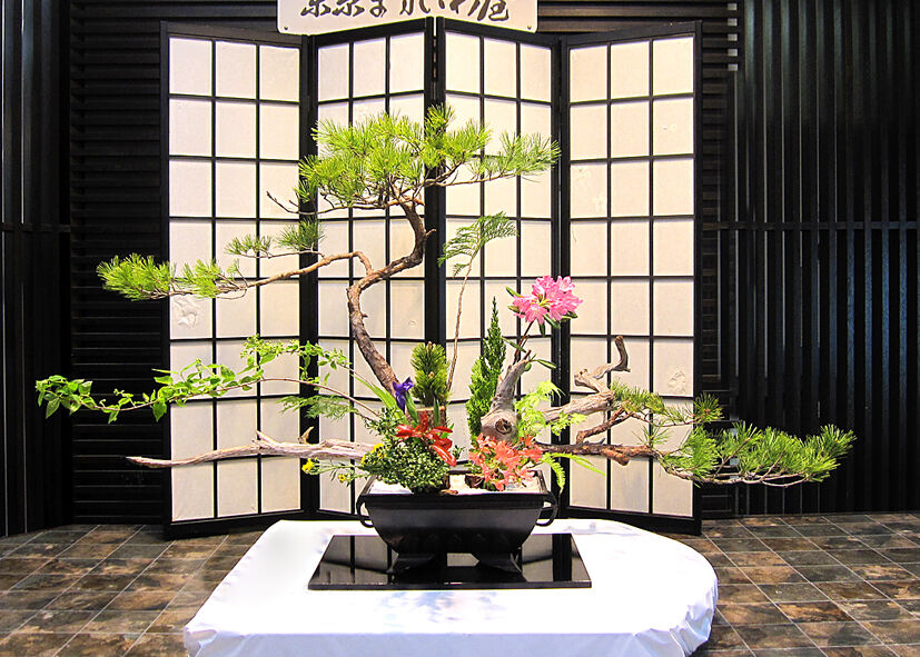 砂鉢 尺3 深菖蒲 銅製 木枠別途制作いたします。 | 花器華道具専門店