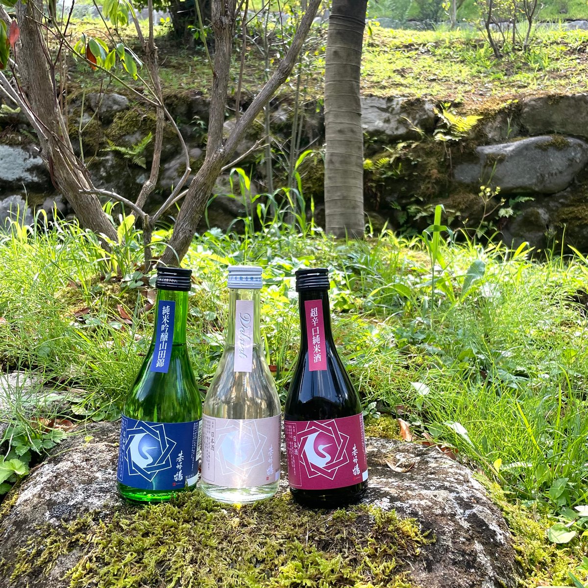 基峰鶴 定番飲み比べセット | KIHOTSURU ONLINE STORE