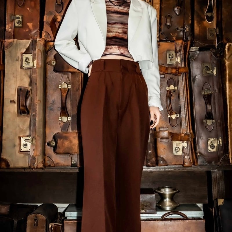 PINTUCK MEGA FLARE SLACKS 【BROWN】 | SHIKITARI