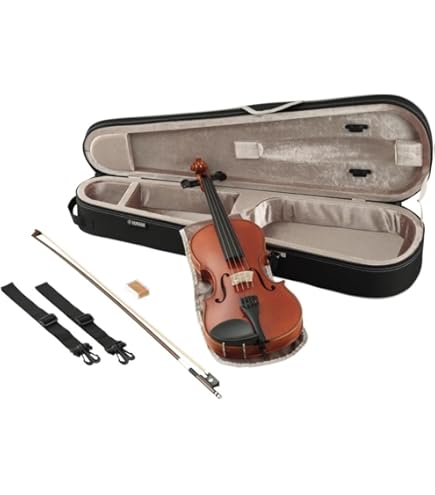 Amazon | EASTMAN VL80ｾｯﾄ 4/4 バイオリンセット (イーストマン