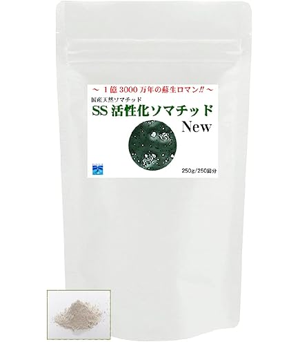 Amazon.co.jp: 古代ソマチッド 石タイプ100g ソマチッド SOMACHI