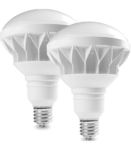 Amazon | フィリップス CDM-R(水銀灯系) リフレクタータイプ E26口金