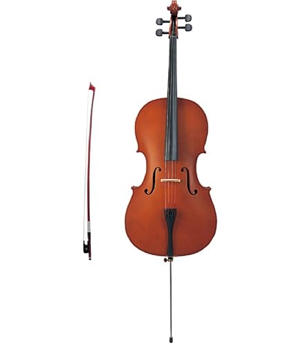 Amazon | SUZUKI No.72 4/4 チェロ (スズキ) | チェロ | 楽器・音響機器