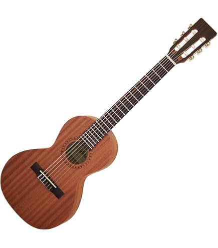 Amazon | 音音 DT1M NTM (ナチュラルマホガニー) ミニアコースティック