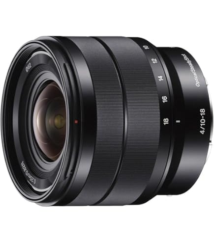 Amazon.co.jp: シグマ(Sigma) SIGMA シグマ Sony Eマウント レンズ 10