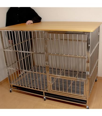 Amazon | 市瀬 業務用ケージ PROステンレスケージ SSDタイプ Mサイズ