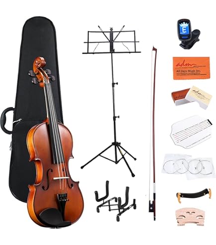 Amazon | Nicolo Santi NSN50/S1 4/4 バイオリンセット 4/4 Cuore