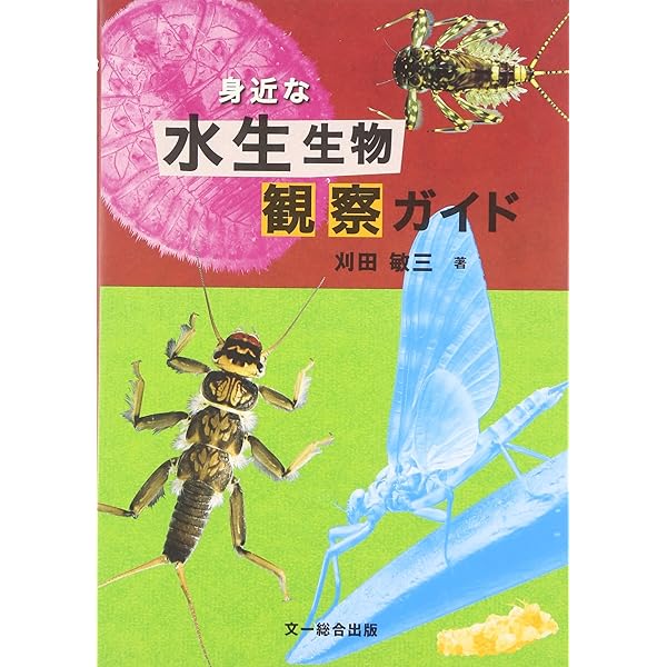 水生昆虫アルバム | 島崎 憲司郎 |本 | 通販 | Amazon