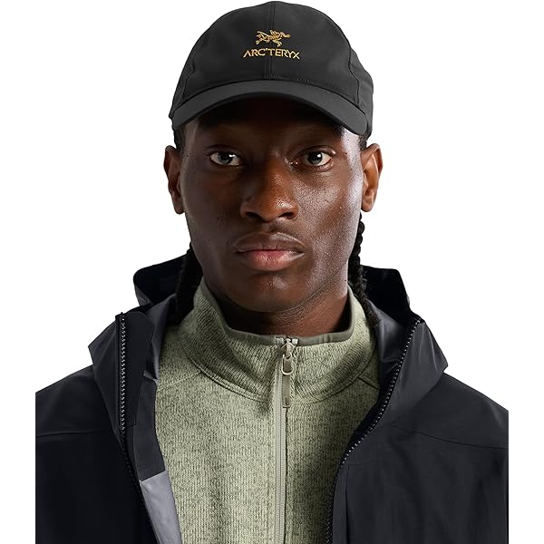 Amazon.co.jp: [アークテリクス] ARCTERYX カルバスキャップ