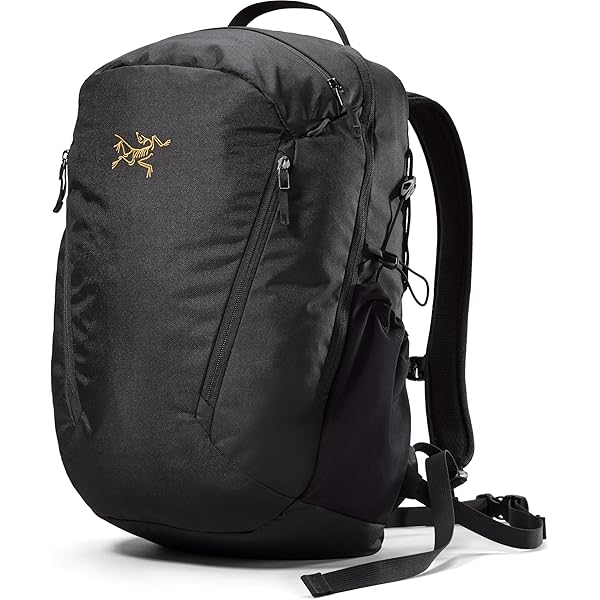 Amazon.co.jp: [アークテリクス] ARCTERYX マンティス16バックパック
