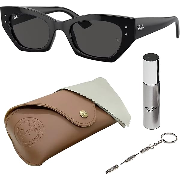 Amazon.com: RAY-BAN Unisex Evolution Full Rim - Sunglasses, Black