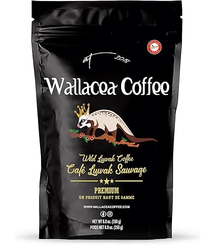 Amazon.com : JJ royal 100% Pure Luwak Arabica 100 grams : Grocery